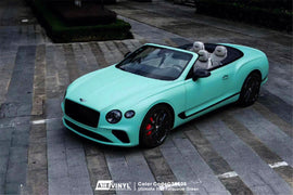 Ultimate Flat Turquoise Green Vinyl