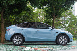 PET Frozen Blue Vinyl