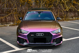 PET Celestial Unicorn Vinyl